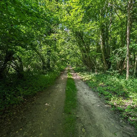 A 10 Minutes De Reims Prouilly